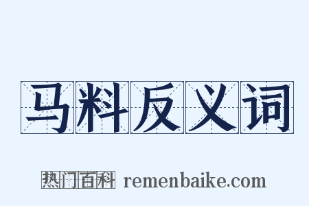 马料反义词是什么意思的图片